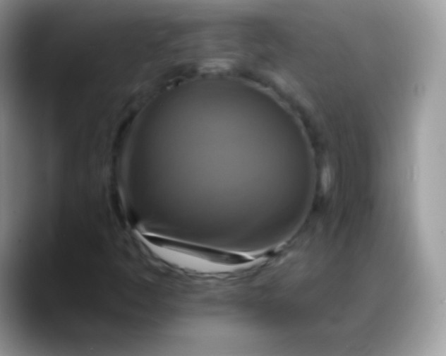 X0000088201445200705292023