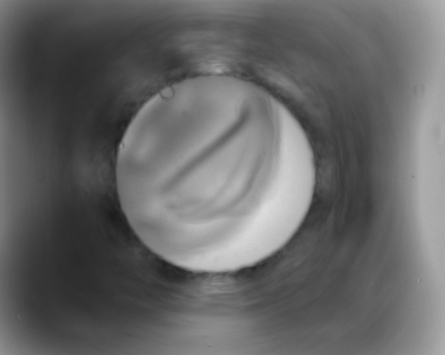 X0000088201446200705292023