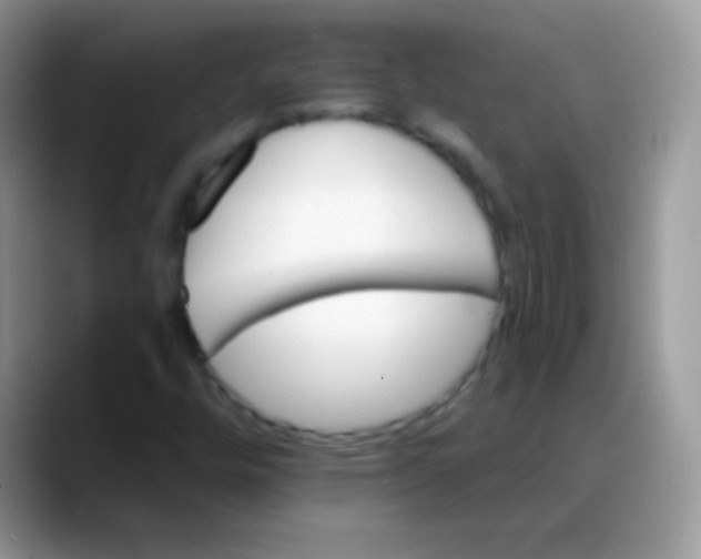 X0000088201448200705292023