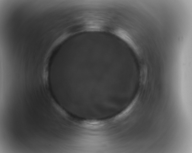 X0000088201450200705292023