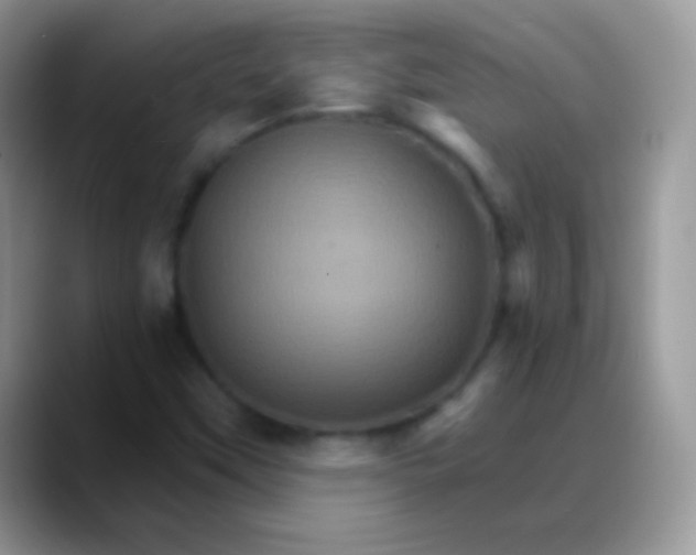 X0000088201451200705292023