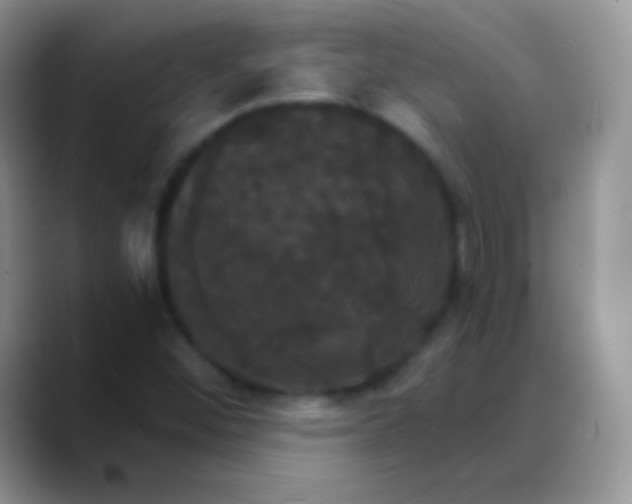 X0000088201452200705292023