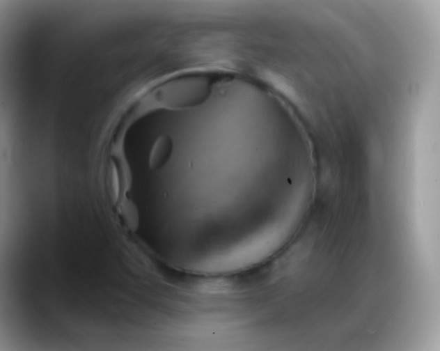 X0000088201455200705292022