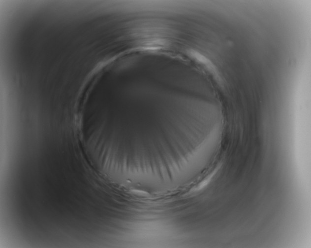 X0000088201457200705292022