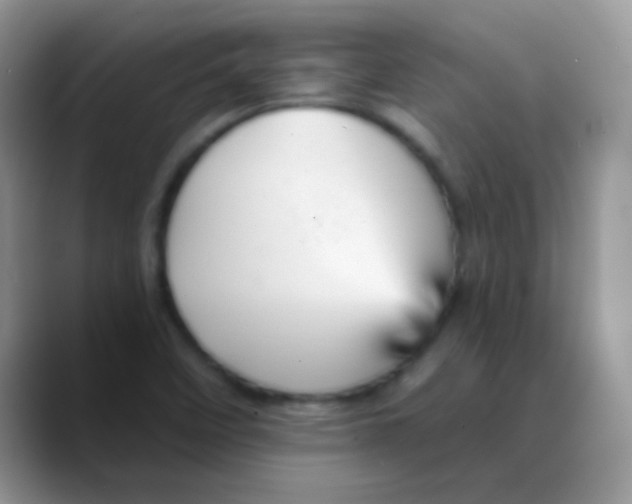 X0000088201458200705292022