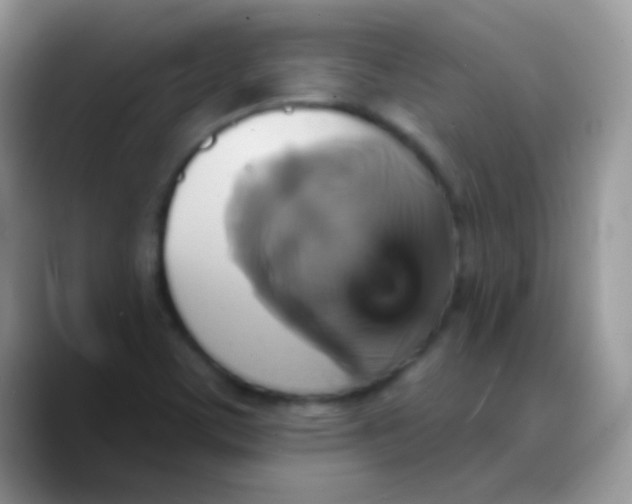 X0000088201459200705292022