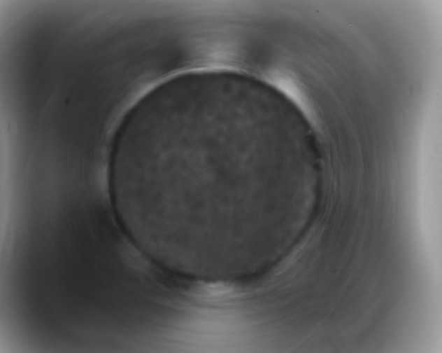 X0000088201460200705292022