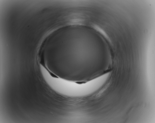 X0000088201461200705292022
