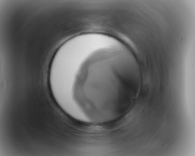 X0000088201463200705292022