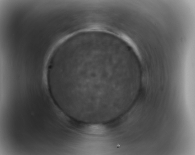X0000088201464200705292022