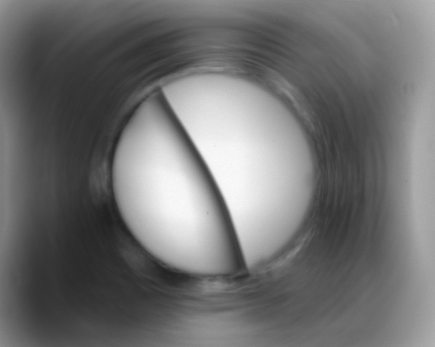 X0000088201465200705292022