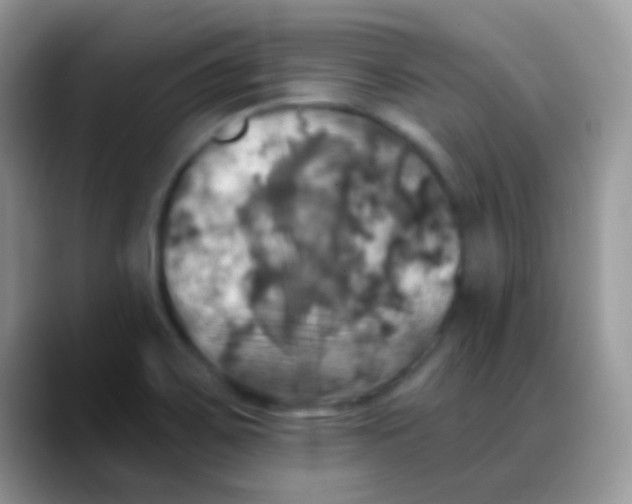 X0000088201467200705292022