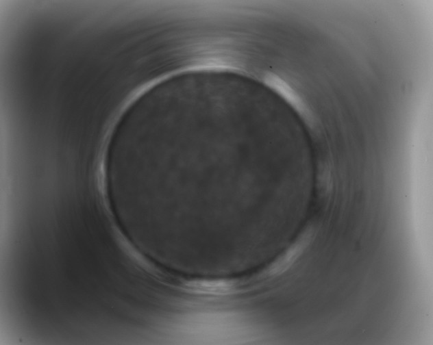 X0000088201468200705292022