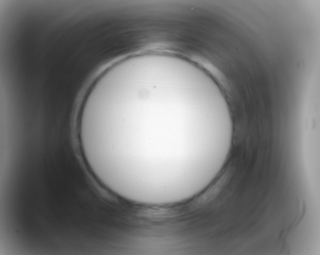 X0000088201470200705292022