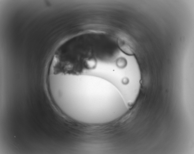 X0000088201471200705292022