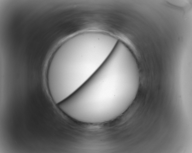 X0000088201472200705292022