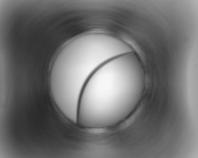X0000088201473200705292022