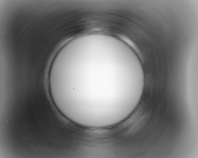 X0000088201474200705292022