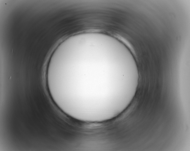 X0000088201475200705292022
