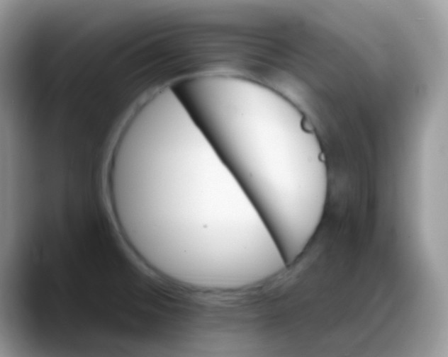 X0000088201476200705292022
