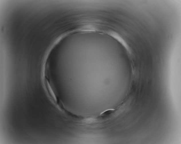 X0000088201477200705292022