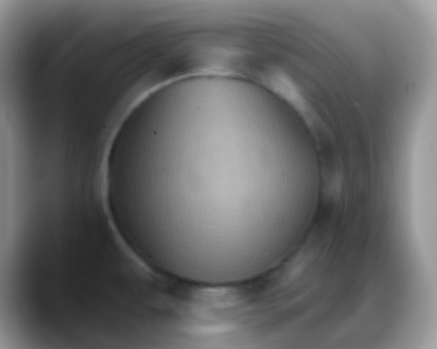 X0000088201479200705292022