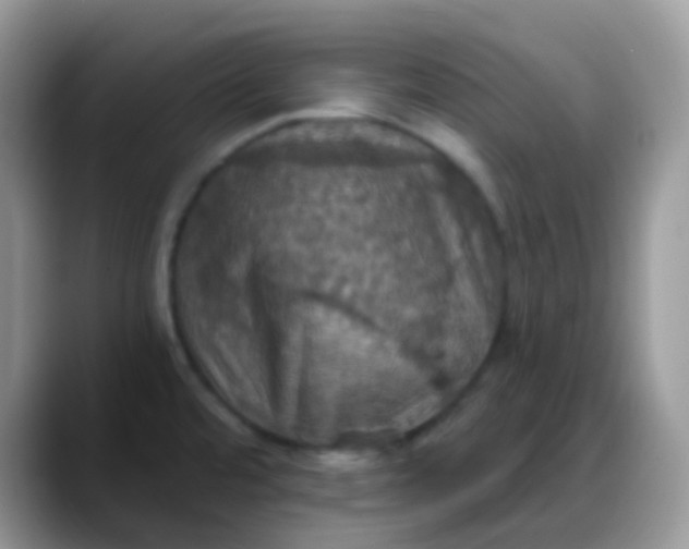 X0000088201480200705292022