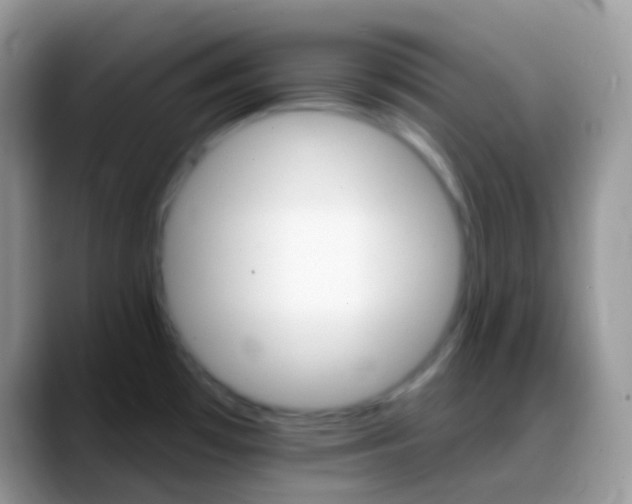 X0000088201481200705292022