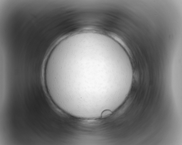 X0000088201482200705292022