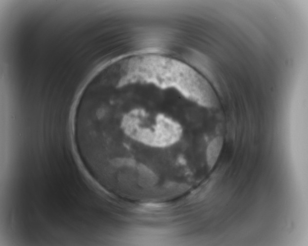 X0000088201483200705292022