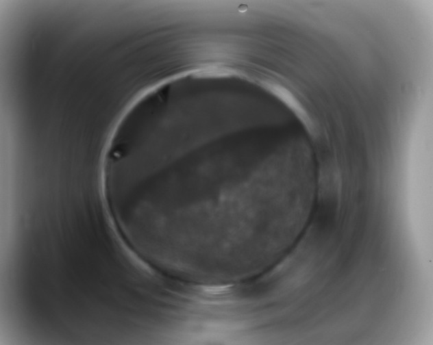 X0000088201484200705292022
