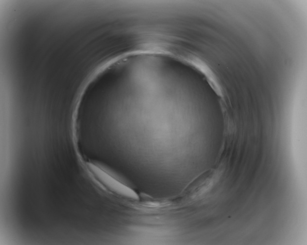 X0000088201485200705292022