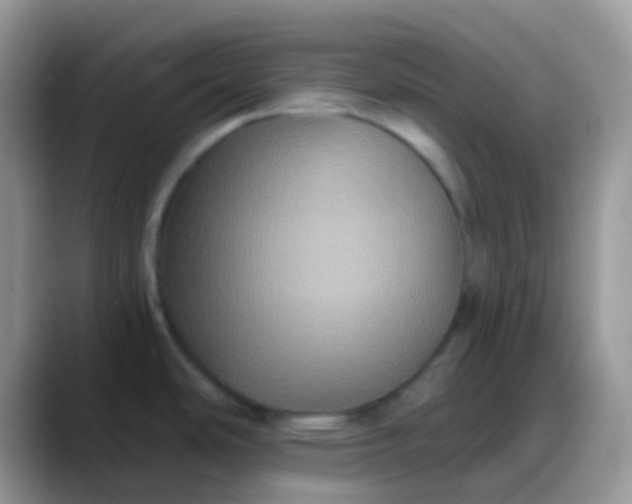 X0000088201486200705292022