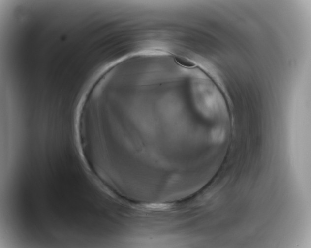 X0000088201488200705292022