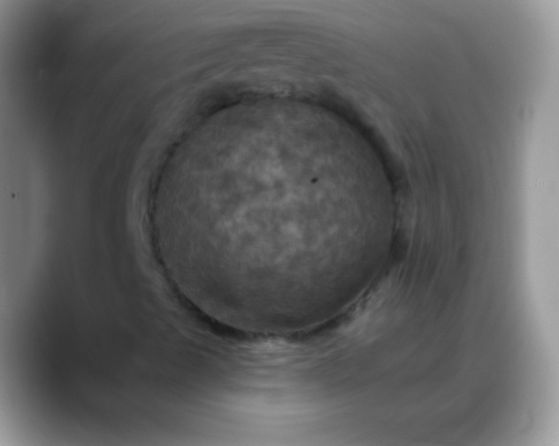 X0000088201489200705292021
