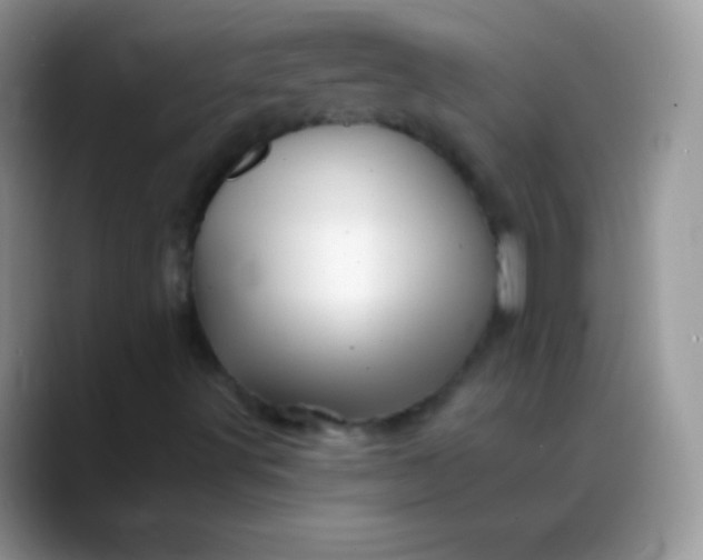 X0000088201491200705292021