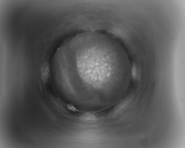 X0000088201492200705292021