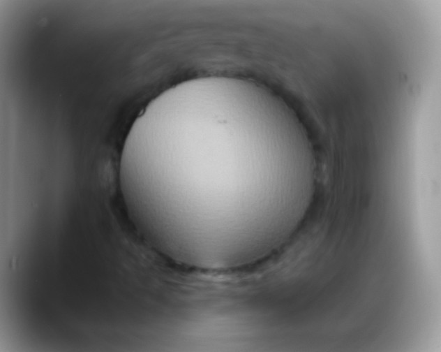 X0000088201493200705292021