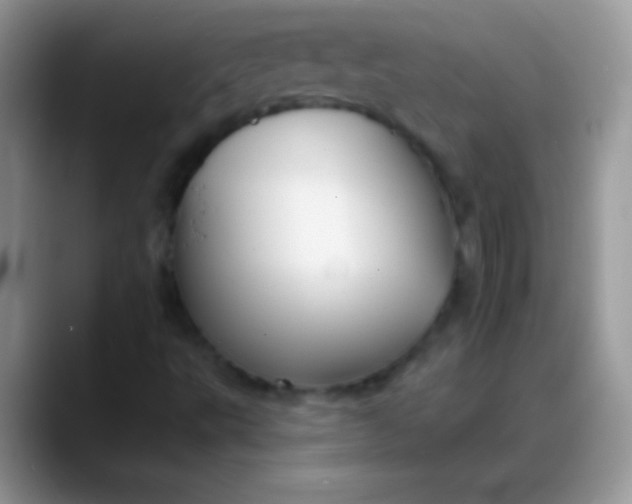 X0000088201495200705292022