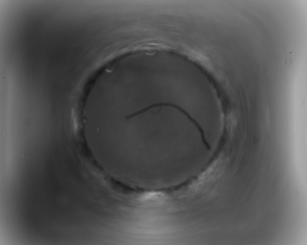 X0000088201496200705292022