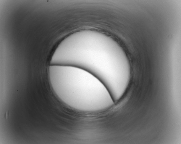X0000088201497200705292022