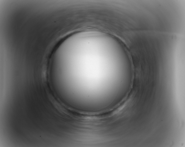X0000088201499200705292022