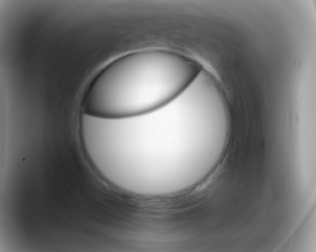 X0000088201500200705292022