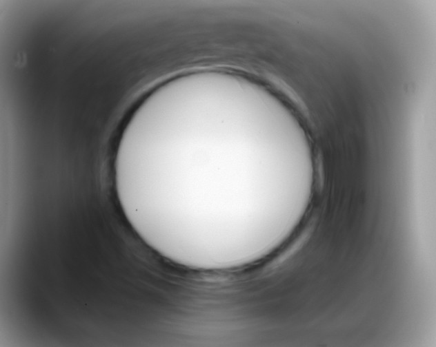 X0000088201501200705292022
