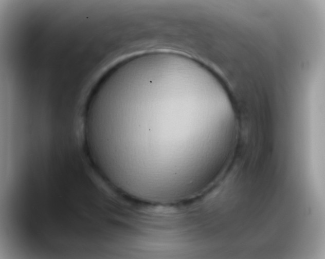 X0000088201503200705292022