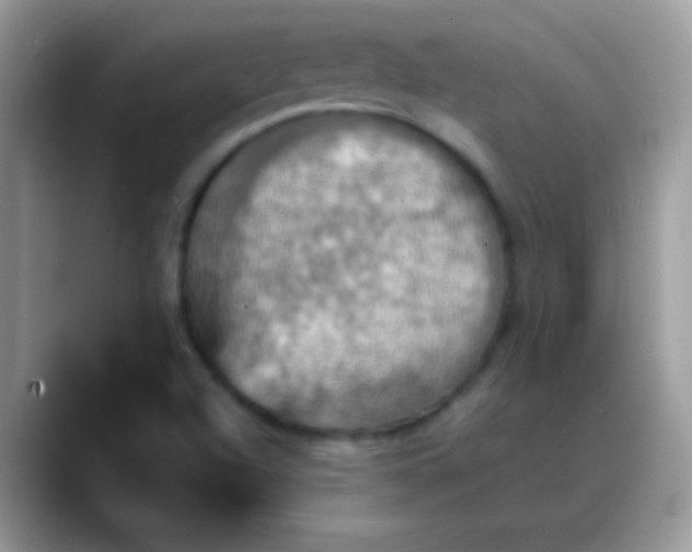 X0000088201504200705292022