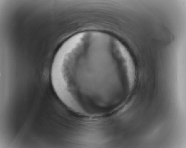 X0000088201505200705292022