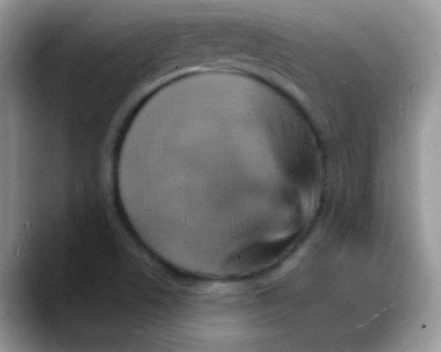 X0000088201506200705292022