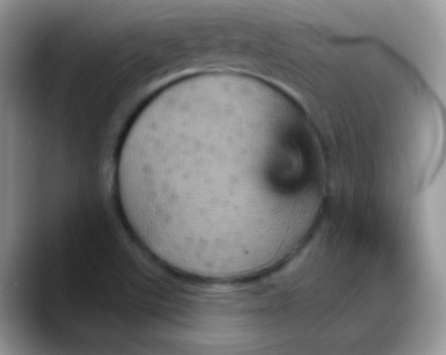 X0000088201507200705292022