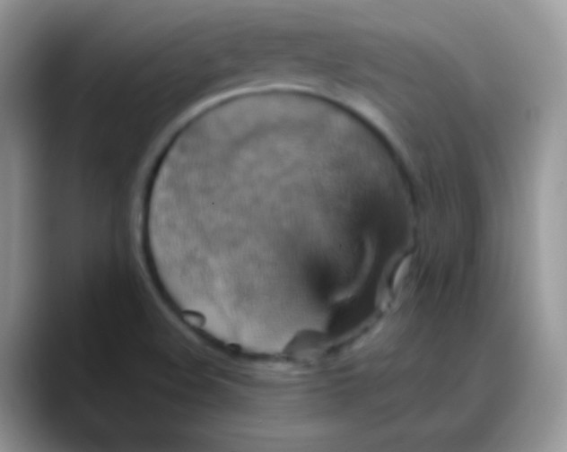 X0000088201508200705292022